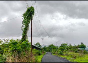 महावितरण कंपनीच्या कामाबाबत नाराजी