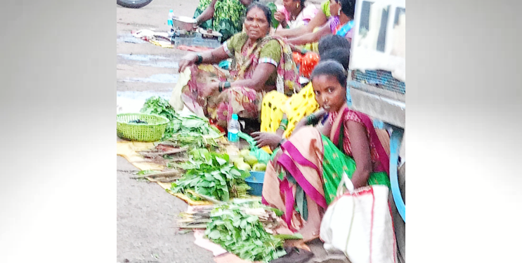 रानभाज्यांमुळे आदिवासींना आर्थिक बळ