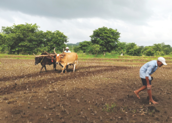 पावसाच्या विश्रांतीमुळे शेतीकामाला वेग