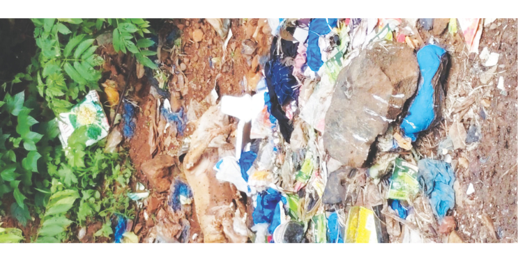 आराठी गावात मृत श्वानांची दुर्गंधी