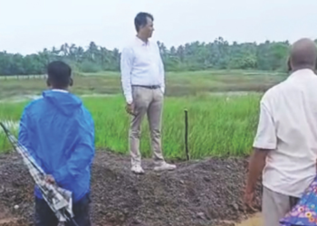 मिळकतखार भराव प्रकरण; अखेर तहसीलदारांना आली जाग