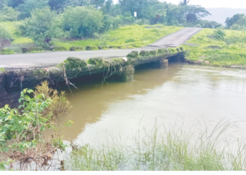 सुधागडातील वाफेघर पुलाची दैना