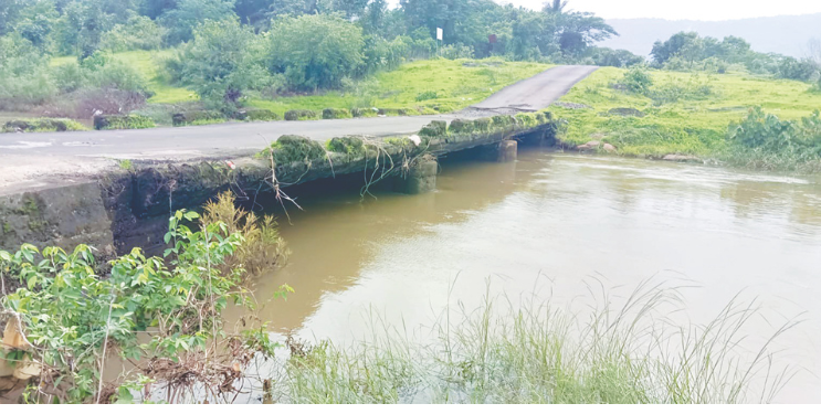 सुधागडातील वाफेघर पुलाची दैना