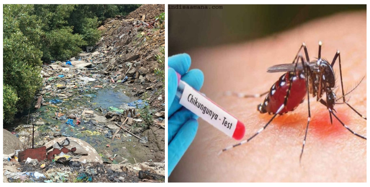 सोनारी गाव बनले चिकनगुनियाचे केंद्र