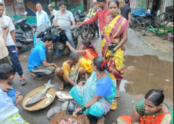 गोड्या पाण्यातील माशांची मेजवानी