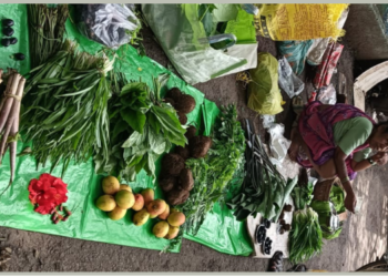 पनवेलमध्ये रानभाज्यांची आवक वाढली