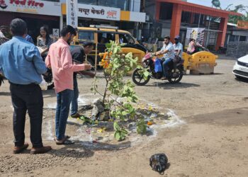 अलिबागमध्ये सत्यवानांची अनोखी वटपूजा!