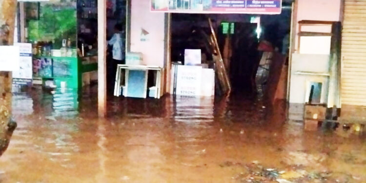 रत्नागिरीत मुसळधार पाऊस; पालशेतला महापुराचा फटका