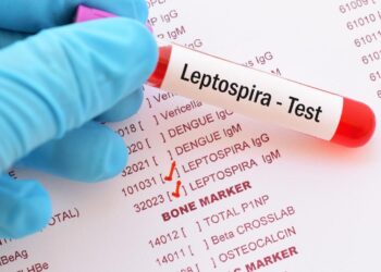 वशेणीत लेप्टोचा भंपक सावळागोंधळ