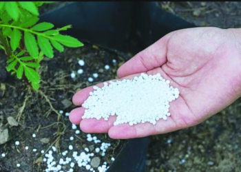 रोहा तालुक्यात खताचा तुटवडा