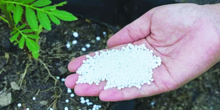 रोहा तालुक्यात खताचा तुटवडा