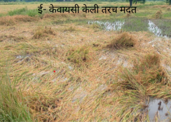 शेतकऱ्यांची नुकसानभरपाई अडकली केवायसीत