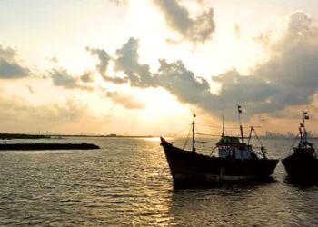 अवैध मासेमारी करण्याऱ्या बोटींवर कारवाई