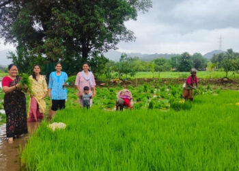 खालापुरात भातशेती लागवडीस प्रारंभ