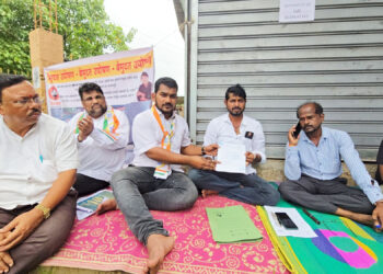 भेकऱ्याचा कोंड रस्त्याच्या कामाची चौकशी करा