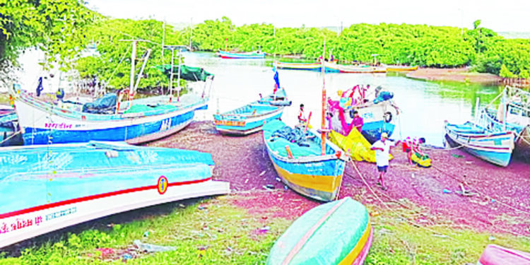 मच्छिमारांची लाकडाऐवजी फायबर बोटीला पसंती