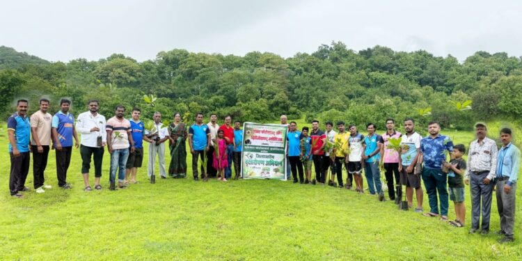 फोटोग्राफर असोसिएशनतर्फे वृक्षारोपण