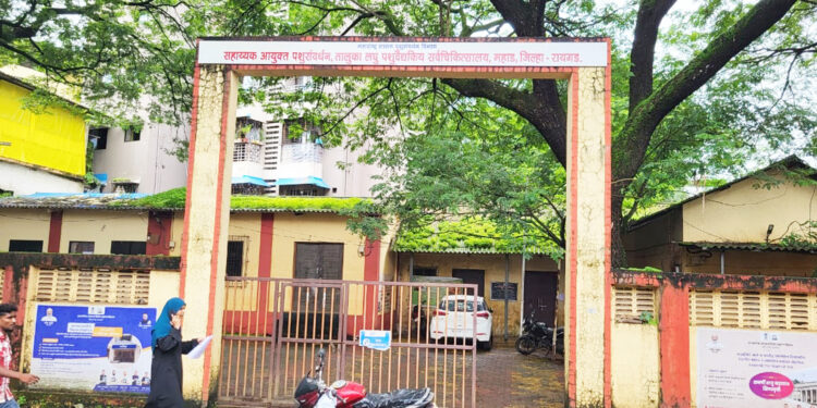 महाड तालुक्यात पशुवैद्यकीय डॉक्टरांचा अभाव