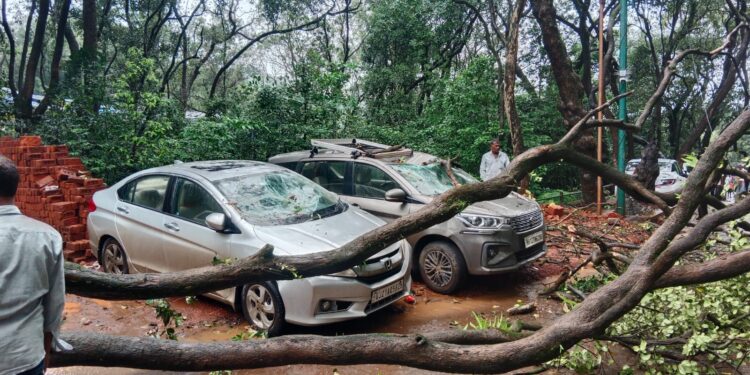 झाड कोसळून गाड्यांचे नुकसान