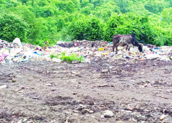 डम्पिंग ग्राऊंडचे स्थलांतर कधी?