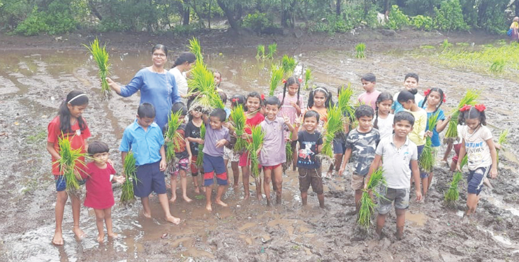 विद्यार्थ्यांनी घेतला भात लागवडीचा अनुभव
