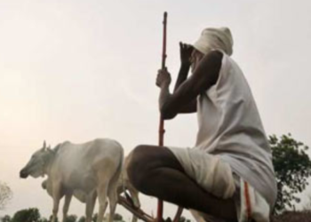 श्रीवर्धन तालुक्यात पावसाने मारली दडी