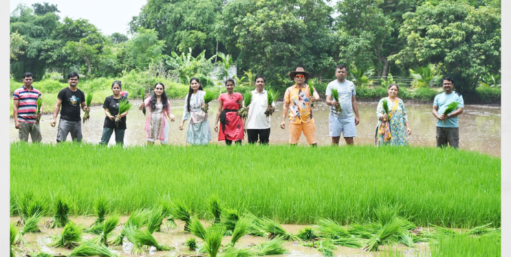 अधिकाऱ्यांनी अनुभवला भात लावणीचा अनुभव