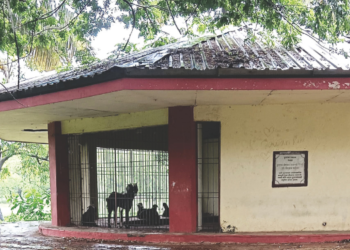 रेवदंड्यातील शेषनाथ वाडेकर स्मारकाची दुरवस्था