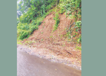 रोहा-तांबडी रस्ता संकटात