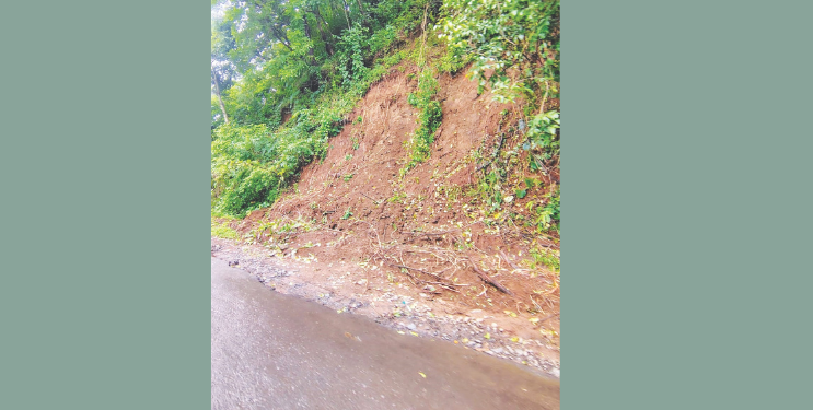 रोहा-तांबडी रस्ता संकटात