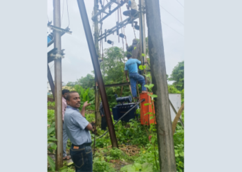 पालीत महावितरणची तत्पर सेवा