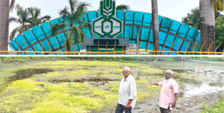 आरसीएफमधील अमोनियामुळे भातशेती धोक्यात