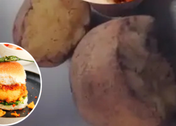 लोणावळ्यातील उपहारगृहात उंदरांनी खाल्लेल्या बटाट्यांचे वडापाव