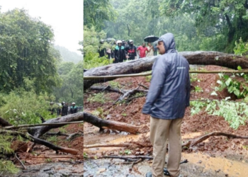 नागोठणे- रोहा रस्त्यावर भिसे खिंडीत दरड कोसळली