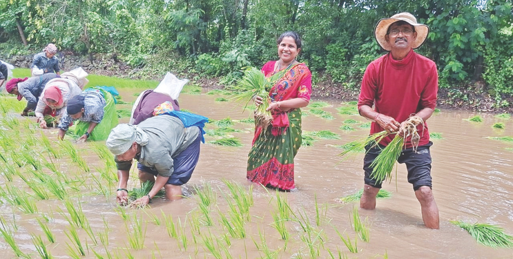 नव्या पिढीची शेतीकडे पाठ