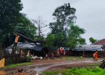 घरावर झाड कोसळल्याने महिला जखमी