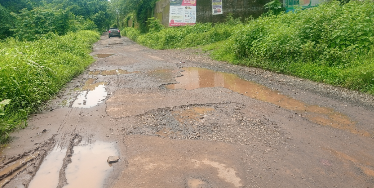 कोलाड हायस्कूलकडे जाणाऱ्या रस्त्याचे तीनतेरा