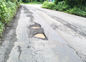 भिरा फाटा ते सुतारवाडी रस्ता उखडला