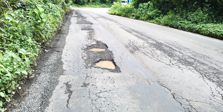 भिरा फाटा ते सुतारवाडी रस्ता उखडला