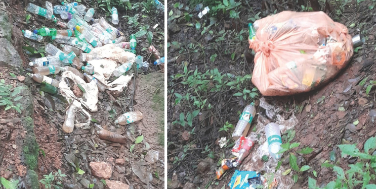 माथेरान जंगल प्लास्टिकच्या विळख्यात