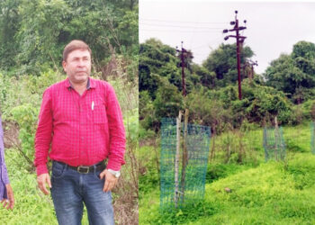 परशुराम घाट ते खेरशेत लावलेल्या झाडांची पाहणी