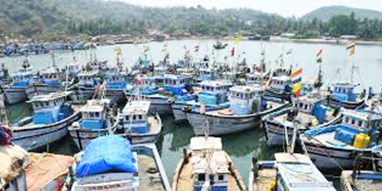 बोटींवरील कारवाईमुळे मच्छिमार चिंतेत