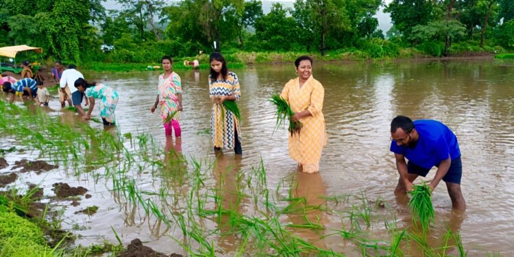 गटशेतीमुळे आदिवासींचे स्थलांतराला ब्रेक