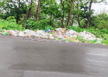 कार्लेखिंडीत दुर्गंधीयुक्त कचऱ्याचे ढीग