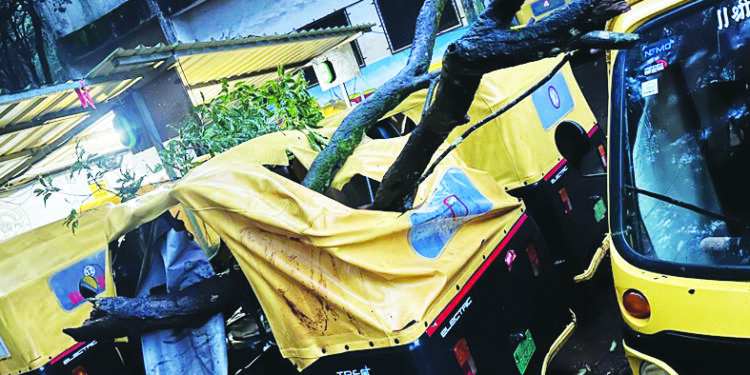 ई-रिक्षावरील नैसर्गिक आपत्तीची भरपाई द्यावी; चालकांची मागणी