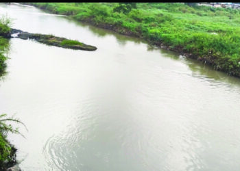 प्रदूषणात घट झाल्याने कासाडीतील जैवविविधता वधारली