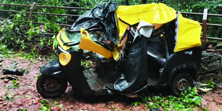 ई-रिक्षावर झाड कोसळले; चालकासह तिघे जखमी