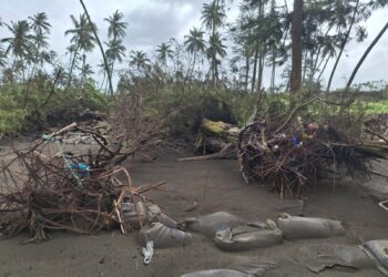 किनारपट्टीवरील गावांना उधाणाचा धोका