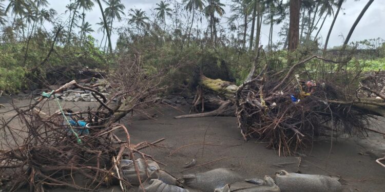 किनारपट्टीवरील गावांना उधाणाचा धोका