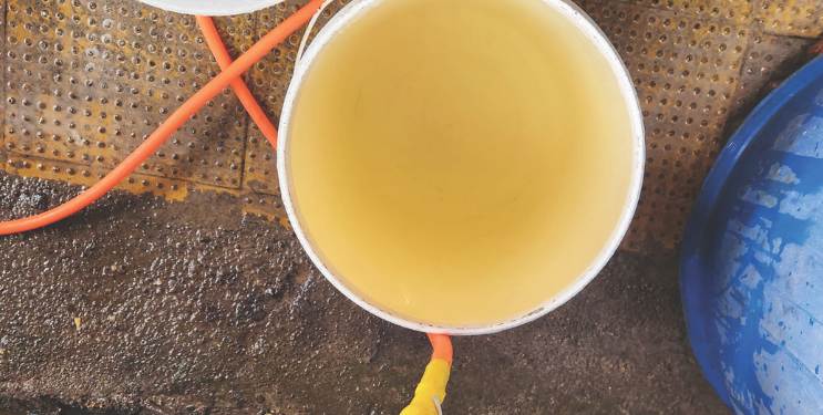 बेणसेकरांवर अशुद्ध पाणी पिण्याची वेळ